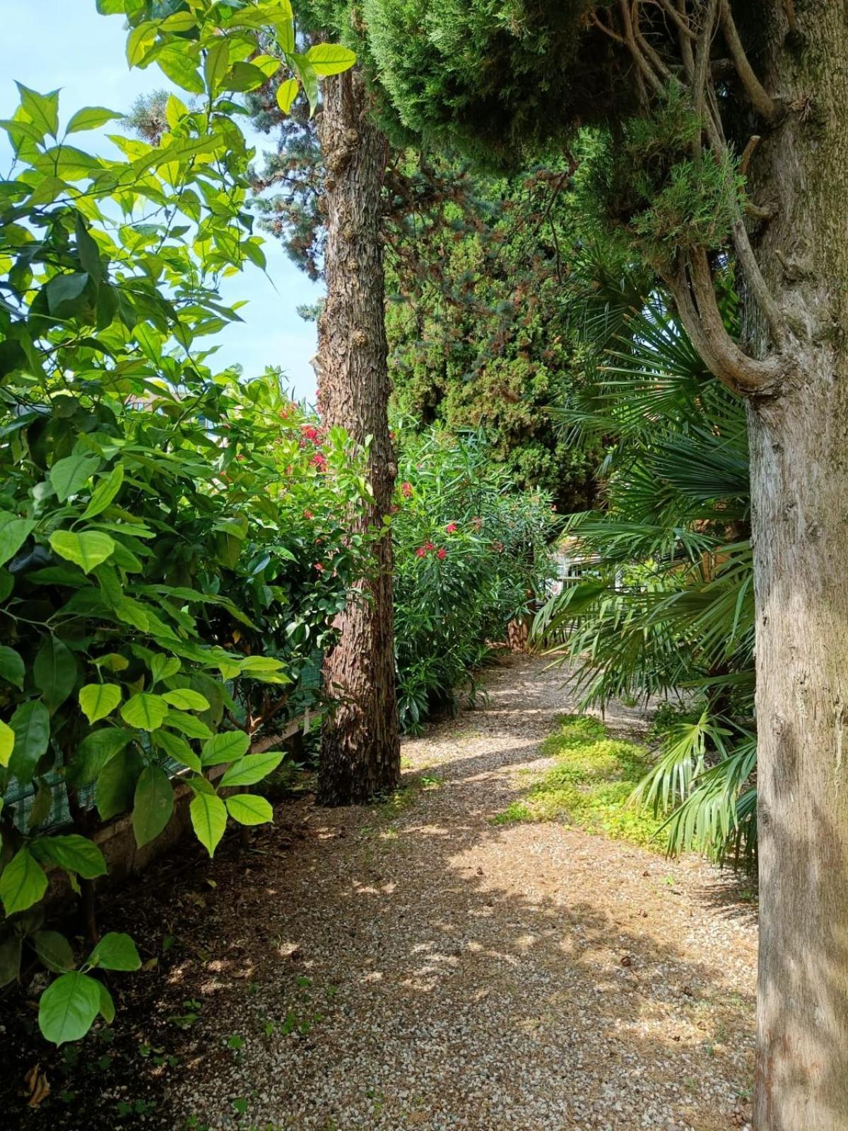 Casa Lucy Villa Bardolino Exteriör bild